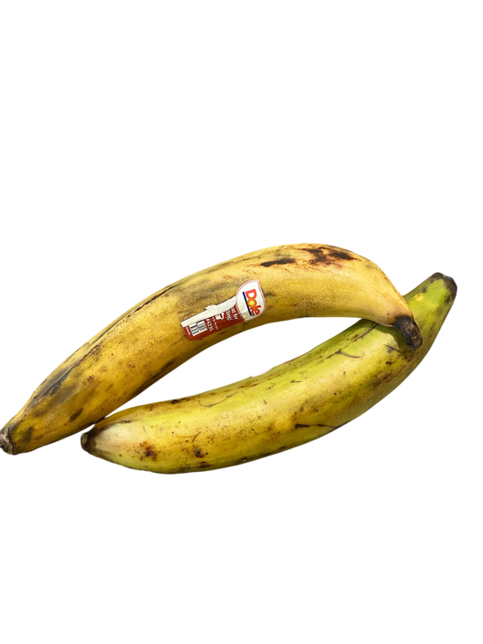 YELLOW PLAINTAIN (1 EACH)